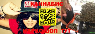крисы Малгобек