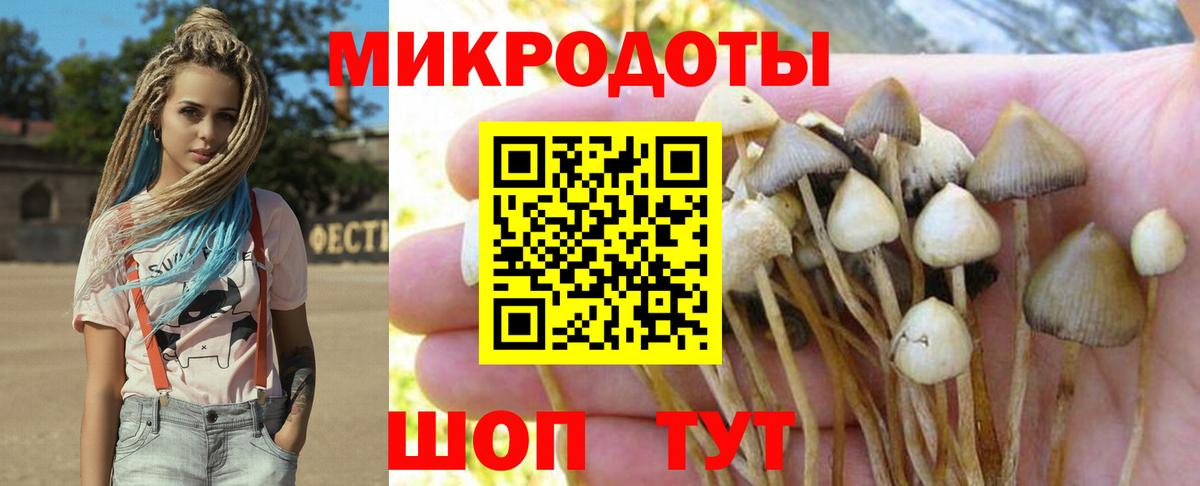 Псилоцибиновые грибы мицелий  Вход с VPN  закладка  Углич 